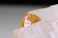 Chondrodit Kristall  in Kalzit-Matrix 