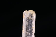 Fine doubly terminated Hambergite Crystal