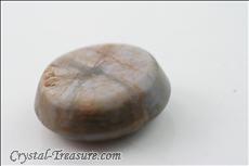 Trapiche Saphir Cabochon