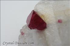 Fine スピネル (Spinel) Octahedron on 方解石 (Calcite)