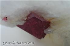 Fine スピネル (Spinel) Octahedron on 方解石 (Calcite)