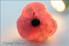 Fine Mushroom Rubellite (Elbaite)