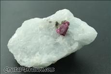 Fine ルビー (Ruby) in 方解石 (Calcite)