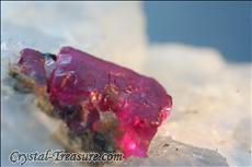 Fine ルビー (Ruby) in 方解石 (Calcite)