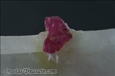 Ruby in Calcite