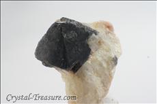 Black スピネル (Spinel) 結晶 (Crystal) in 方解石 (Calcite)