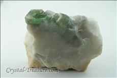 Green 金雲母 (Phlogopite) with コンドロダイト (Chondrodite) Inclusions on Calcite