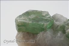 Green 金雲母 (Phlogopite) with コンドロダイト (Chondrodite) Inclusions on Calcite