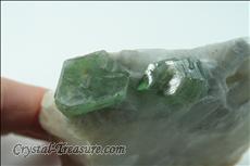 Green 金雲母 (Phlogopite) with コンドロダイト (Chondrodite) Inclusions on Calcite