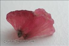 4 Twinned Mushroom 電気石 (Tourmaline)