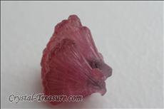 5 Twinned Mushroom 電気石 (Tourmaline)