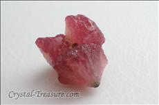 5 Twinned Mushroom 電気石 (Tourmaline)