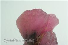 Twinned Mushroom 電気石 (Tourmaline)