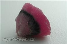 Zoned Mushroom Rubellite