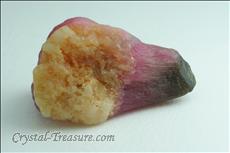 Mushroom 電気石 (Tourmaline) with Matrix