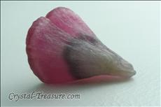 Sliced Mushroom Tourmaline