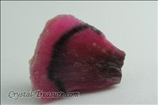 Sliced Mushroom 電気石 (Tourmaline)