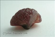 Fine dark pink Mushroom