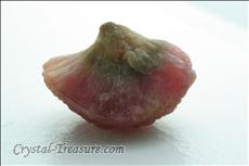 Mushroom 電気石 (Tourmaline)