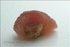 Lustrous Mushroom 電気石 (Tourmaline)