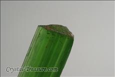 Gemmy Terminated Actinolite Crystal