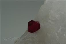 Fine Gemmy スピネル (Spinel) in 方解石 (Calcite)