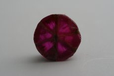 Trapiche Ruby