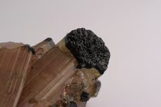 Cluster Tourmaline with Moor's Head