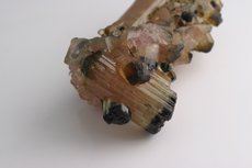 Cluster Tourmaline with Moor's Head