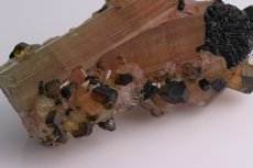 Cluster Tourmaline with Moor's Head