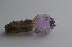 Top Zepter Quarz Rauchquarz /Amethyst