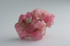 Pink Tourmaline Crystal Cluster