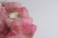 Pink Tourmaline Crystal Cluster