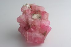 Pink 電気石 (Tourmaline) 結晶 (Crystal) Cluster