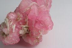 Pink 電気石 (Tourmaline) 結晶 (Crystal) Cluster