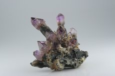 Zepter Quarz Rauchquarz/Amethyst Stufe mit Saléeite