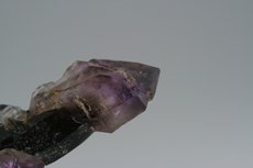 Zepter Quarz Rauchquarz/Amethyst Stufe mit Saléeite