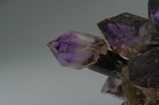 Zepter Quarz Rauchquarz/Amethyst Stufe mit Saléeite