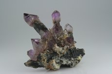 Zepter Quarz Rauchquarz/Amethyst Stufe mit Saléeite