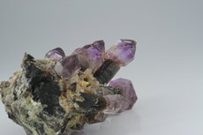 Zepter Quarz Rauchquarz/Amethyst Stufe mit Saléeite