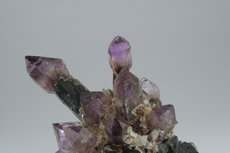 Zepter Quarz Rauchquarz/Amethyst Stufe mit Saléeite