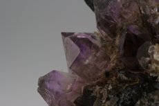 Zepter Quarz Rauchquarz/Amethyst Stufe mit Saléeite