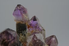 Zepter Quarz Rauchquarz/Amethyst Stufe mit Saléeite