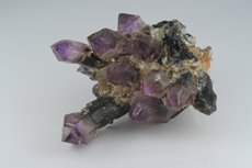 Zepter Quarz Rauchquarz/Amethyst Stufe mit Saléeite