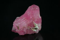 Fine Cluster Rubellite