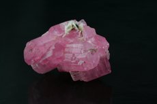 Fine Cluster Rubellite