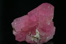 Fine Cluster Rubellite