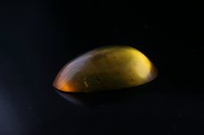 Bernstein Cabochon Burma