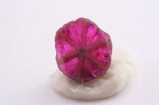 Trapiche Rubinkristall