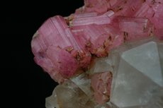 Rubellite on Quartz